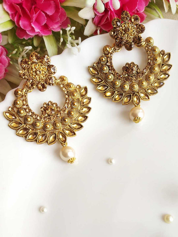 Adorable Gold toned Stone Studded  Earring - ManMarzi.com