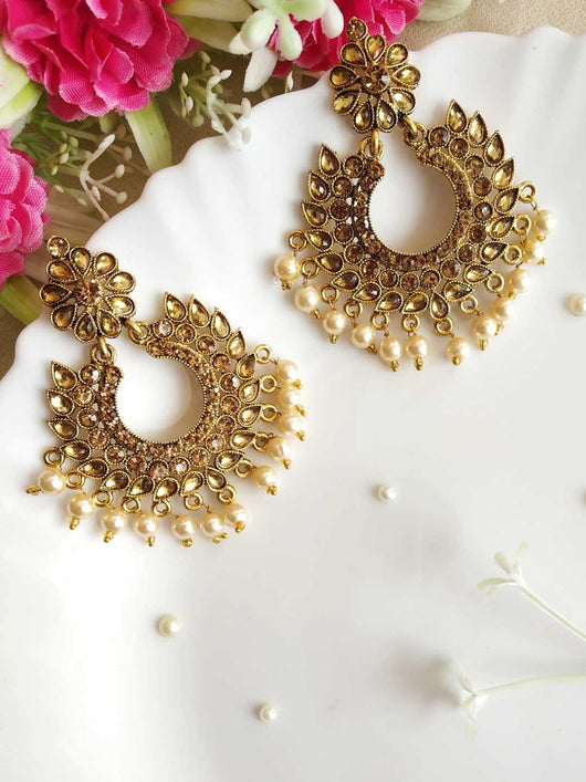 Adorable Gold toned Stone Studded  Earring - ManMarzi.com